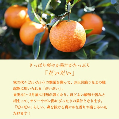 手搾りだいだい果汁200ml×5p　TF881