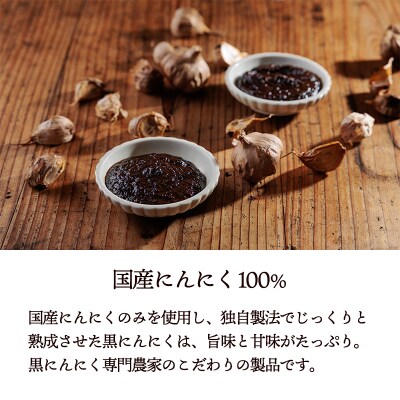 毎日の食卓に簡単・便利・美味しい 国産黒ニンニクピューレ 100g×3p TF891