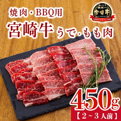 宮崎牛うで&もも肉セット450g(焼肉・BBQ用)TF903