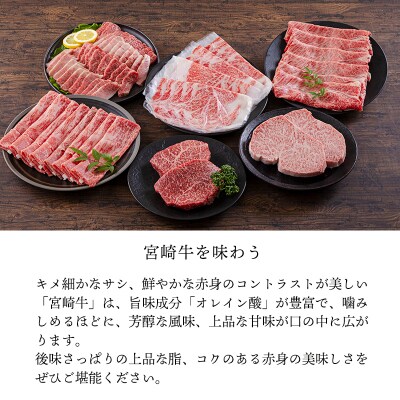 宮崎牛うで肉450g(焼肉・BBQ用)TF904