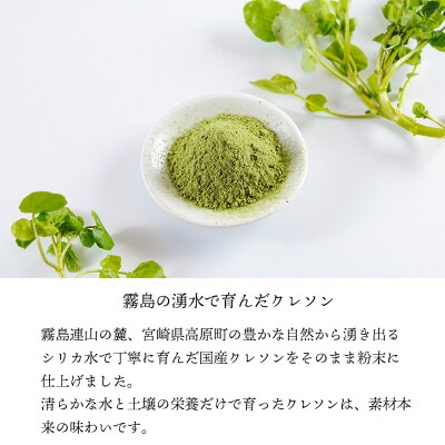 シリカ豊富な湧水育ちの高原町産クレソンパウダー100g　TF900