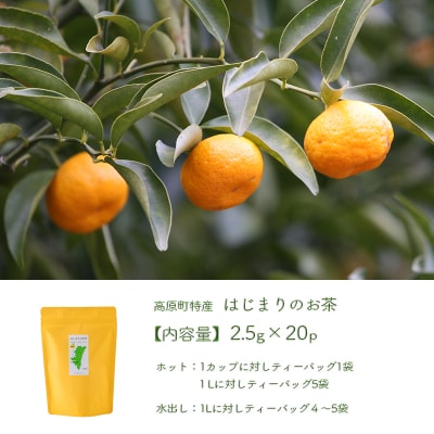橘の爽やかな香り「はじまりのお茶」 ティーパックタイプ(2.5g×20包)　TF918