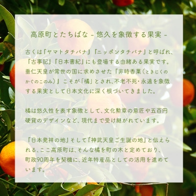 橘の爽やかな香り「はじまりのお茶」 ティーパックタイプ(2.5g×20包)　TF918