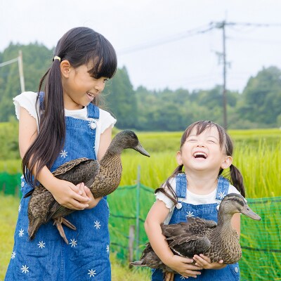 【令和8年産米】高原町産 無農薬合鴨米(普通精米) 5kg TF0423