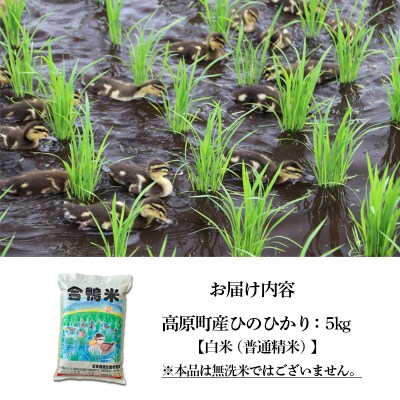 【令和8年産米】高原町産 無農薬合鴨米(普通精米) 5kg TF0423