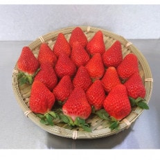 【12月～発送】熊本県相良村産いちご「ゆうべに」250g×4P日野農園