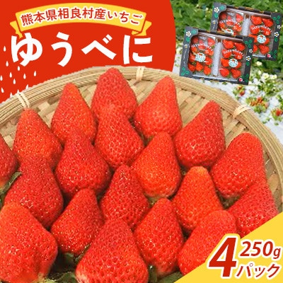 【12月～発送】熊本県相良村産いちご「ゆうべに」250g×4P日野農園