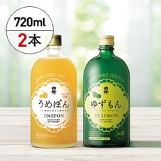 白岳リキュール2本セット(相良村)