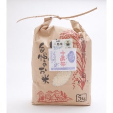 十島米5kg