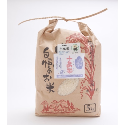 十島米5kg