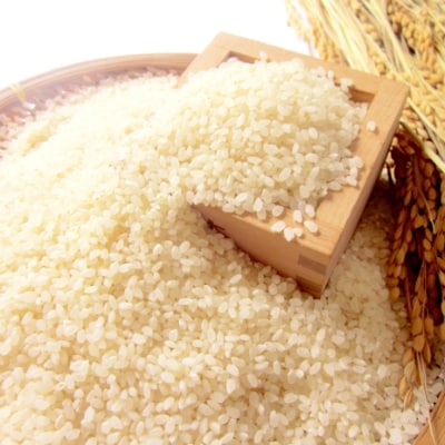 令和4年産　特別栽培米　熊本県相良村産ひのひかり5kg