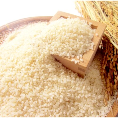 令和4年産　特別栽培米　熊本県相良村産ひのひかり10kg(5kg×2)