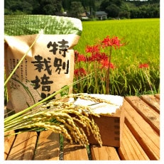 令和4年産　特別栽培米　熊本県相良村産食べ比べセット4kg(2kg×2)