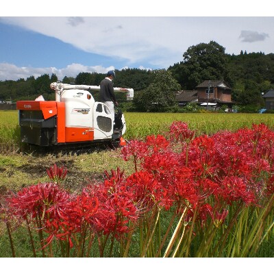 令和4年産　特別栽培米　熊本県相良村産食べ比べセット4kg(2kg×2)