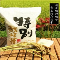 令和5年産 特別栽培米 熊本県相良村産にこまる10kg(5kg&times;2)