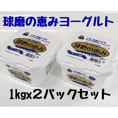 球磨の恵みヨーグルト(加糖) 2kg