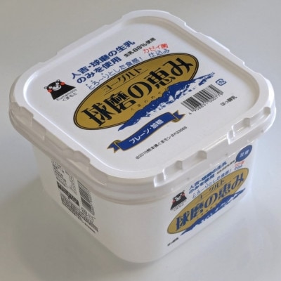 球磨の恵みヨーグルト(加糖) 2kg
