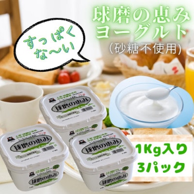 とろ～り濃厚!酸っぱくない砂糖不使用のヨーグルト、1kg入り3パックセット(相良村) | ふるさと納税のお礼品