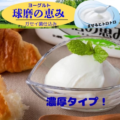 とろ～り濃厚!酸っぱくない砂糖不使用のヨーグルト、1kg入り3パックセット(相良村)