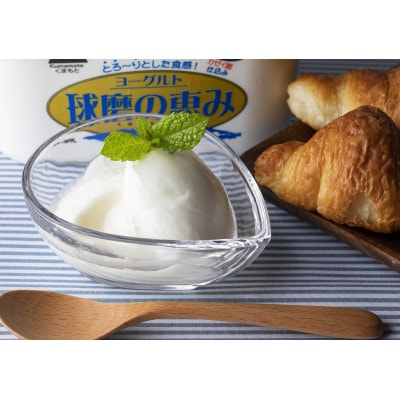 濃厚な味わい、生乳使用率88%!球磨の恵みヨーグルト(加糖タイプ)1kg入り(相良村)