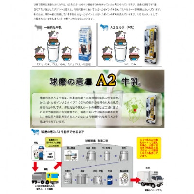 球磨の恵みA2牛乳 1000ml×2本(相良村)