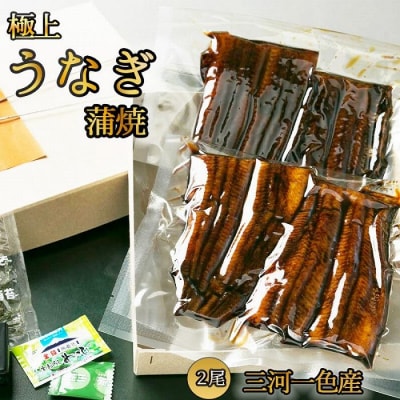 極上三河一色産 うなぎ蒲焼 2尾 熱田蓬莱軒直伝 鰻 蒲焼き 国産 真空パック 冷凍 秘伝タレ