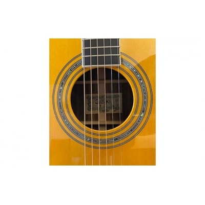 【Three S アコースティックギター】SUZUKI VIOLIN W-460