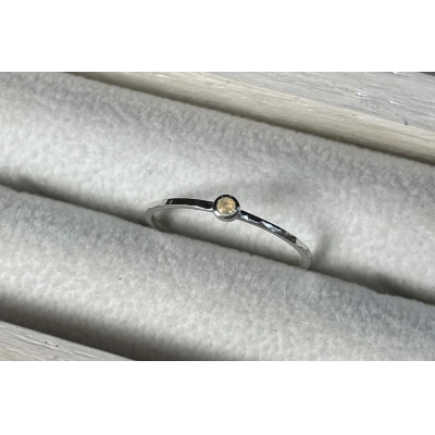 【プレゼント包装付き】誕生石リング(シルバー)