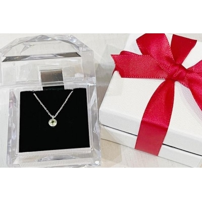 【プレゼント包装付き】誕生石ペンダント(シルバー)チェーン40cm