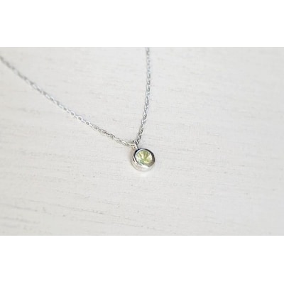 【プレゼント包装付き】誕生石ペンダント(シルバー)チェーン45cm