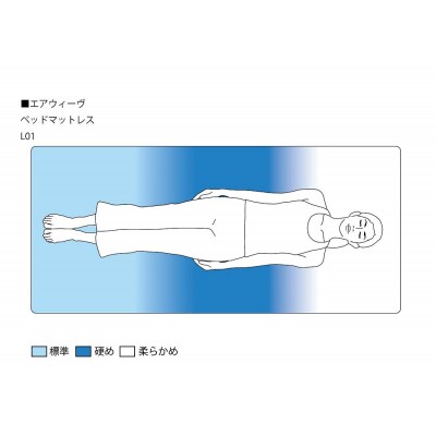 エアウィーヴ ベッドマットレス L01 キング