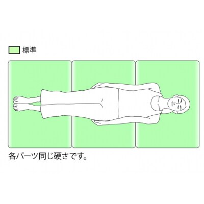 エアウィーヴ ベッドマットレス S02 クイーン　洗える ベット 寝具