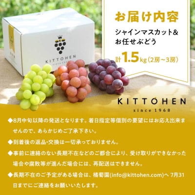【2026年発送】シャインマスカット+お任せぶどう 約1.5kg(2～3房)