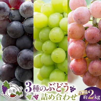 ★お届けは2026年8月から!★3種のぶどう詰め合わせ