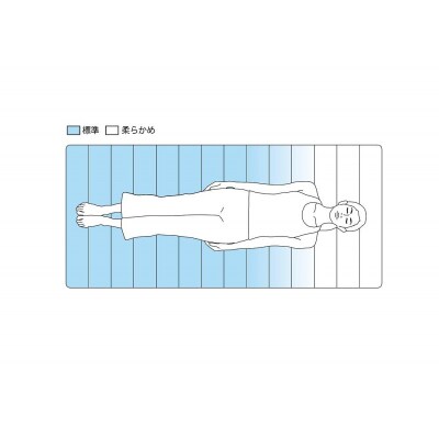 エアウィーヴ スマート02 ダブル