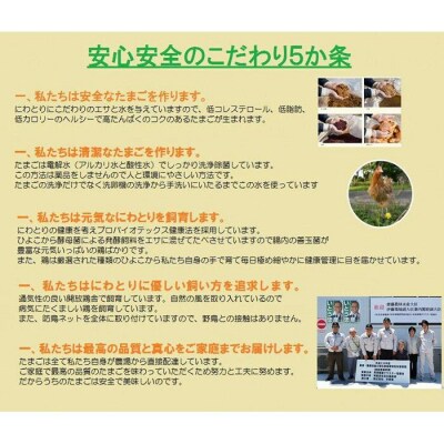 【3か月定期便】日本三大地鶏!! 「純系　名古屋コーチンの卵」(30個)