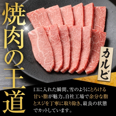 【定番】大府特産A5黒毛和牛下村牛焼肉用特上カルビ　500g