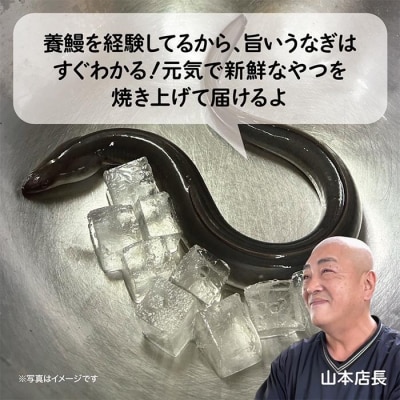 <着日指定必須>【特大・国産うなぎ・蒲焼2尾】養鰻場を知るこだわり大将の絶品うなぎ