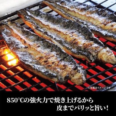 <着日指定必須>【特大・国産うなぎ・蒲焼1尾+白焼1尾】養鰻場を知るこだわり大将のうなぎ
