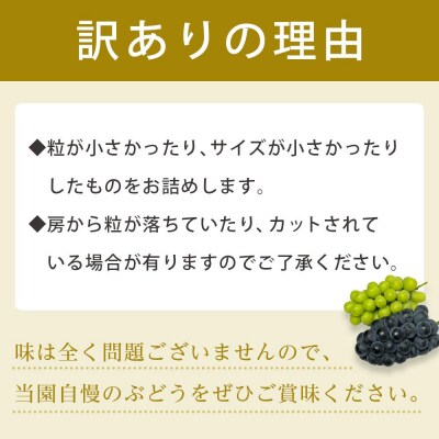 【先行予約】【訳あり・数量限定】 巨峰(種あり)約2kg 〔2025年8月上旬より順次発送〕