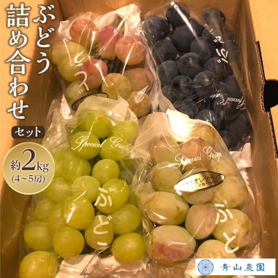 【先行予約】【数量限定】 ぶどう 詰め合わせセット 約2kg 〔2025年8月中旬より順次発送〕