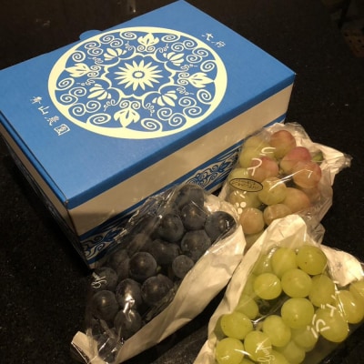 【先行予約】【数量限定】 ぶどう 詰め合わせセット 約2kg 〔2025年8月中旬より順次発送〕