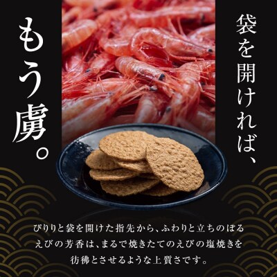 桂新堂 炙り焼き詰合せ(27袋入)