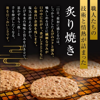 桂新堂 炙り焼き詰合せ(27袋入)