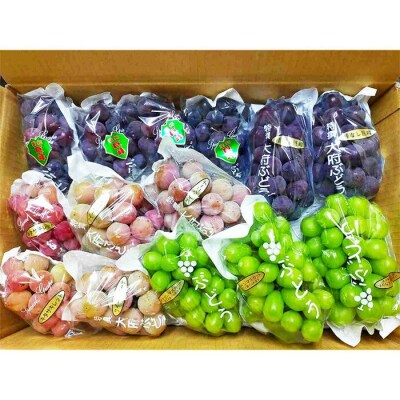 【2026年先行予約・数量限定】園主おまかせ特選ぶどう詰合せ 約2kg