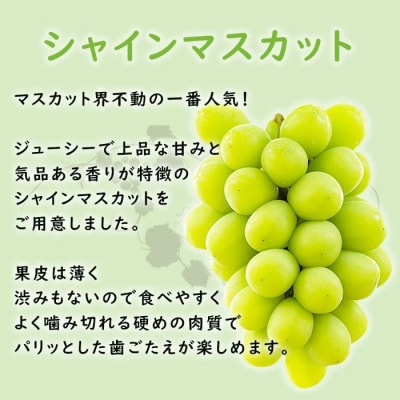【2025年先行予約・数量限定】朝採り シャインマスカット 訳あり品 約1kg<2025年8月中旬～