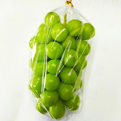 【2026年先行予約・数量限定】朝採り シャインマスカット 訳あり品 約1kg