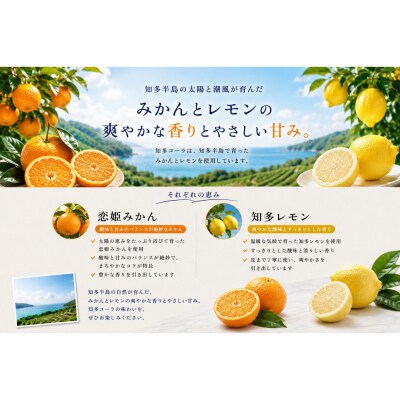 【テレビで紹介】愛知 知多 クラフトコーラ 240ml 1本