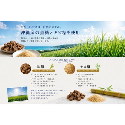 【テレビで紹介】愛知 知多 クラフトコーラ 240ml 3本
