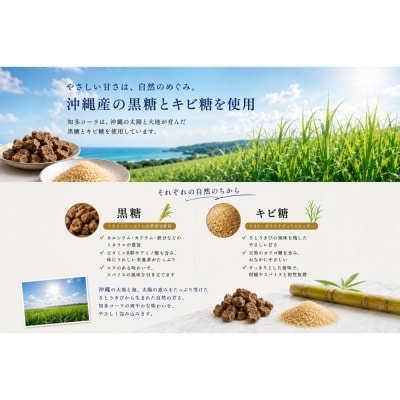 【テレビで紹介】愛知 知多 クラフトコーラ 240ml 5本